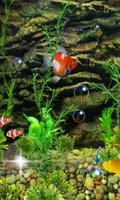 Aquarium Fish 2016 पोस्टर