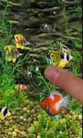برنامه‌نما Aquarium Fish 2016 عکس از صفحه