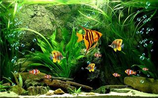 Aquarium Fish 2016 स्क्रीनशॉट 3