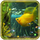 Aquarium Life icono