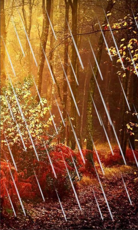 Autumn Rain LWP এর বিবরণ.