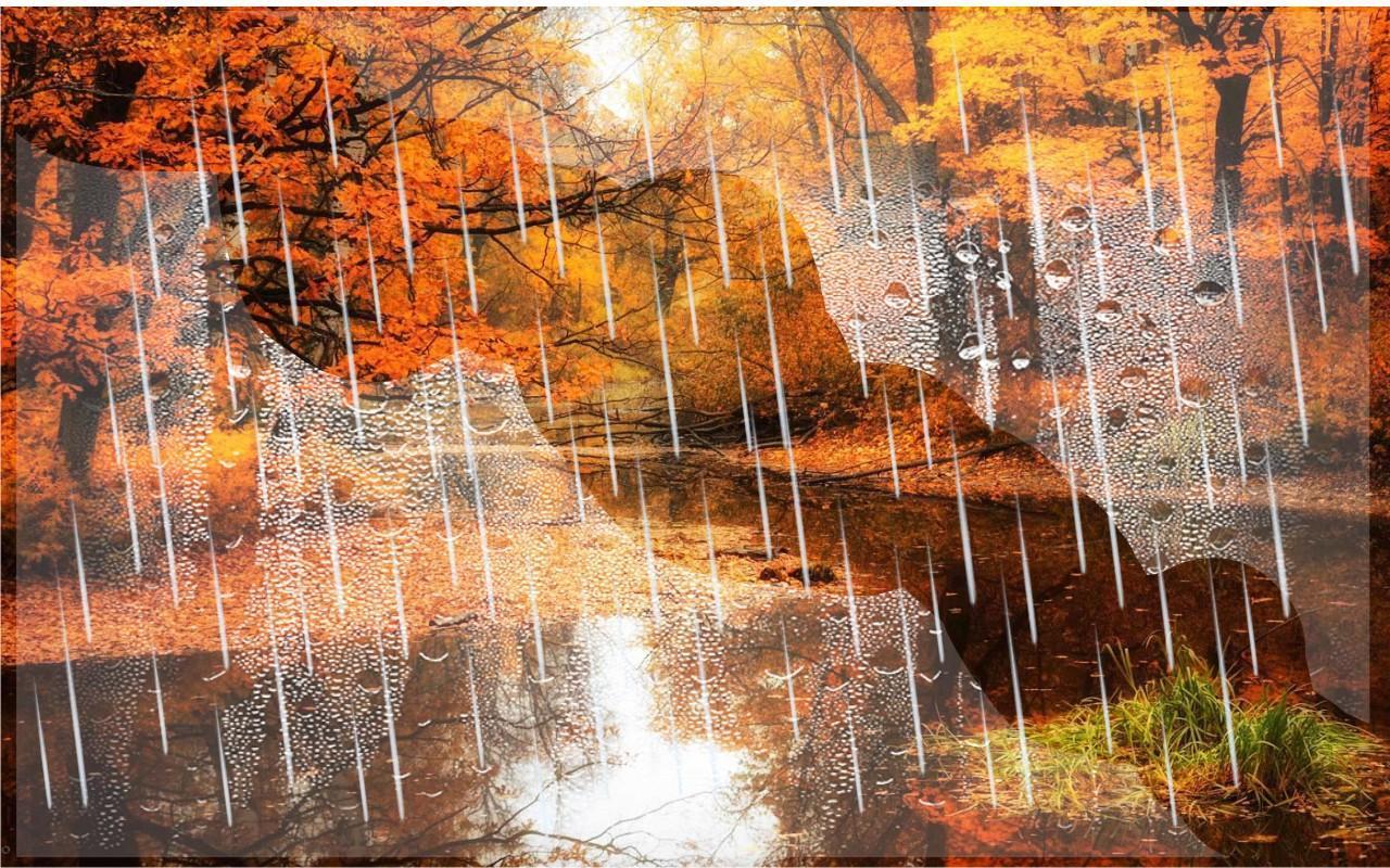 Анализ осенний дождь. Осень дождь. Осенний дождь фото. Ливень осень. Картинки осень дождь.