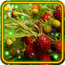 Berry Best live wallpaper APK