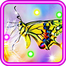 APK Butterfly HD live wallpaper