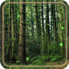 Forest Gallery LWP icon