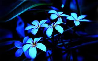 Flowers Neon Free 3D LWP syot layar 2