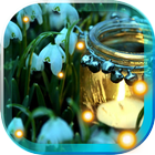 Snowdrops Live wallpaper biểu tượng