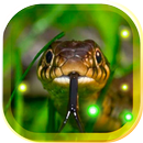 Snakes Voice APK