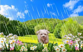 Spring Puppy captura de pantalla 1