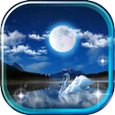 Swan Night Lake APK