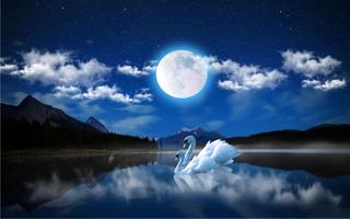 Swan Night Lake تصوير الشاشة 2