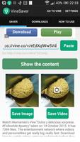 Saver for Vine 海报