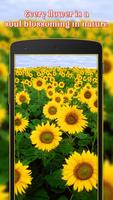 Flowers Wallpapers 포스터