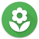 APK Plantly. Buy plants [App concept]