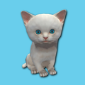Crossy Kitty