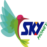 skymoney icône