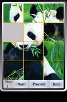 Panda Puzzle الملصق