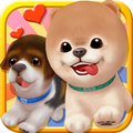 Cute Pet Puppies
