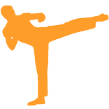 Real Kick Box Career