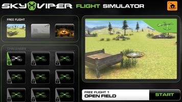 Sky Viper Flight Simulator imagem de tela 3