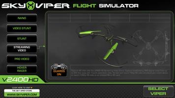 Poster Sky Viper Flight Simulator