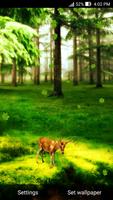 Deer in Forest Live Wallpaper ポスター