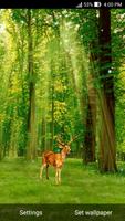 Deer in Forest Live Wallpaper スクリーンショット 1