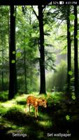 Deer in Forest Live Wallpaper 스크린샷 2