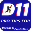 Dream11 Prediction