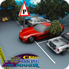 Crazy Car Parking-Stunt Driver icône