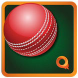 SlamdunQ Cricket