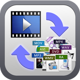 Video Format Converter