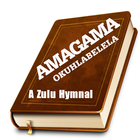 Amagama Okuhlabelela icon