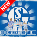 Schalke Lieder