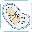 preparing your body for pregnancy APK