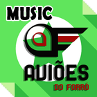 Aviões do Forró Musica Letras icon