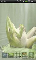 Sleeping Frog Live Wallpaper ảnh chụp màn hình 1