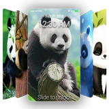 Cute Panda Wallpaper & Lock Screen QHD icône
