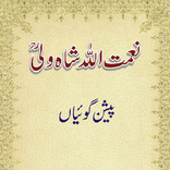 NaimatUllah-Shah-Wali