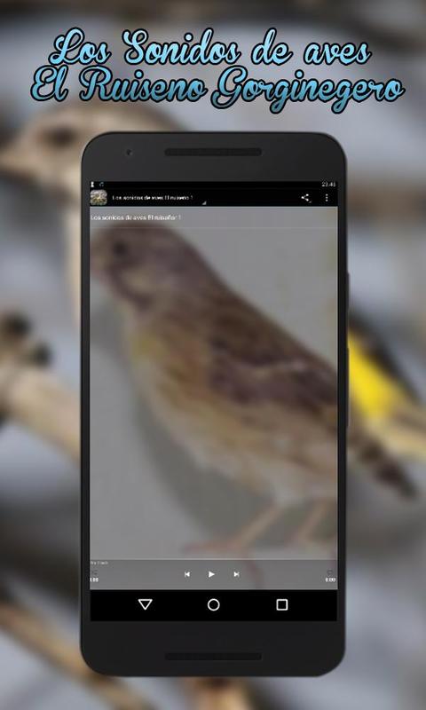 sonidos free download Jordi wild sonidos app (apk) free download for android/pc/windows.