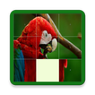 Sliding Puzzle