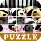 Puzzle Panda with Popy icône