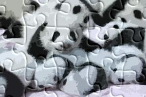 Puzzle Panda with Popy Affiche