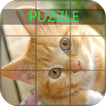 Cats Jigsaw Puzzles