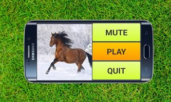 Free Horse Puzzles Poster