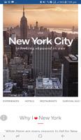 New York City Travel Guide capture d'écran 2