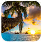 Hawaii Wallpapers icon