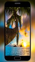 Hawaii Wallpapers 포스터