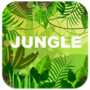 Fond d'écran Jungle APK