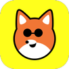 TapFox APK